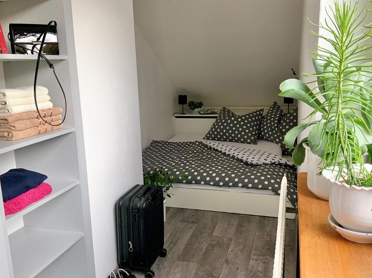 Apartman V Podkrovi Hostinné المظهر الخارجي الصورة